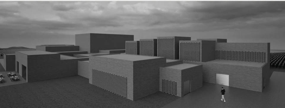Racimo — Arquitectura de la Uva